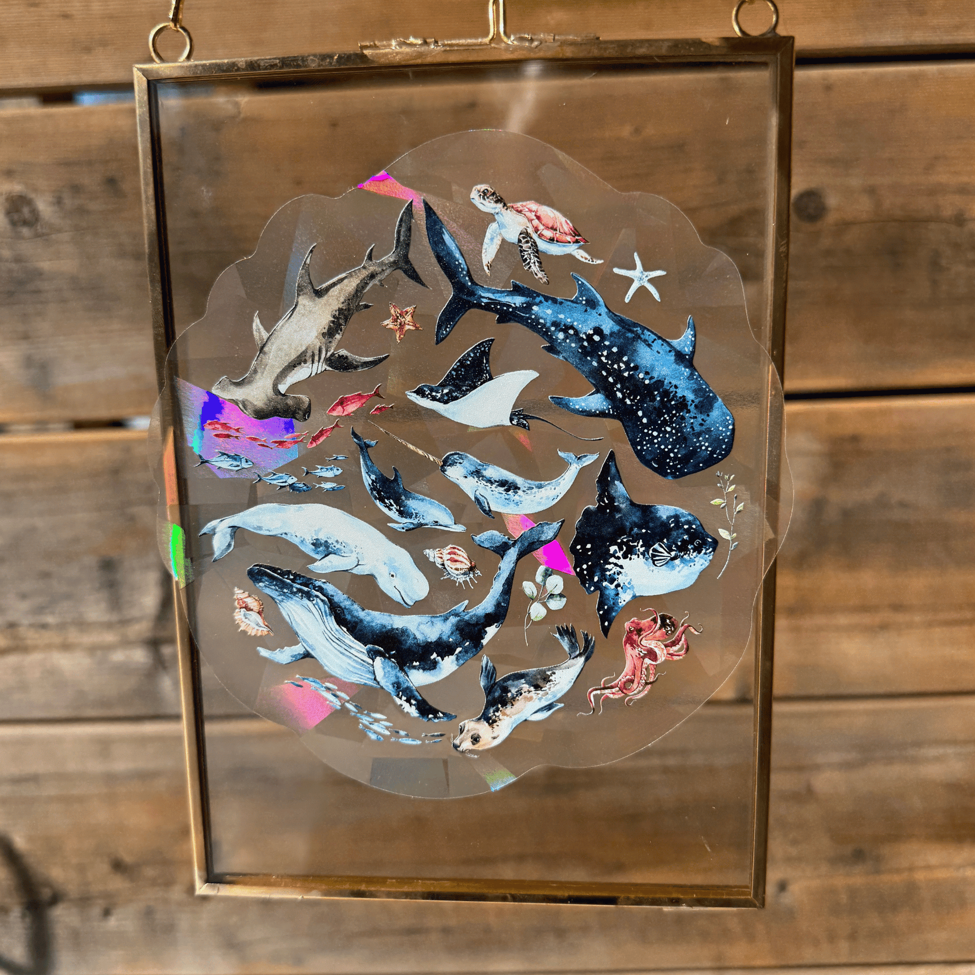 Deep Sea Suncatcher Sticker My Sparkling Emporium