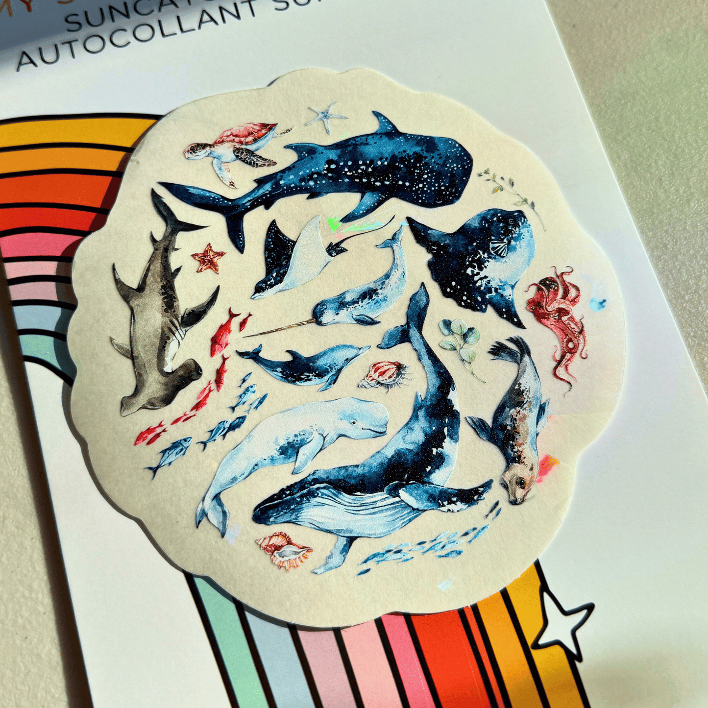 Deep Sea Suncatcher Sticker My Sparkling Emporium