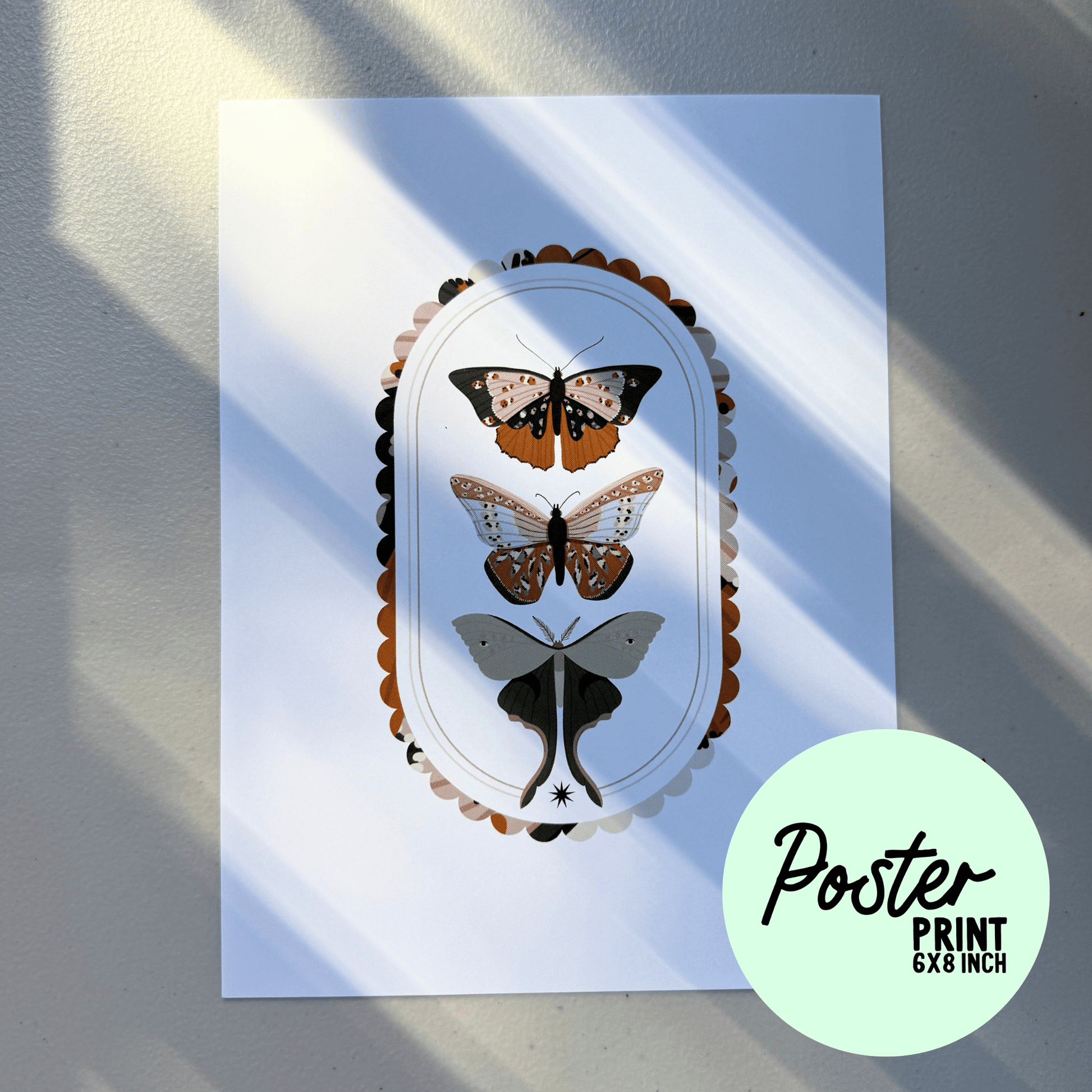 Moths Poster Print My Sparkling Emporium