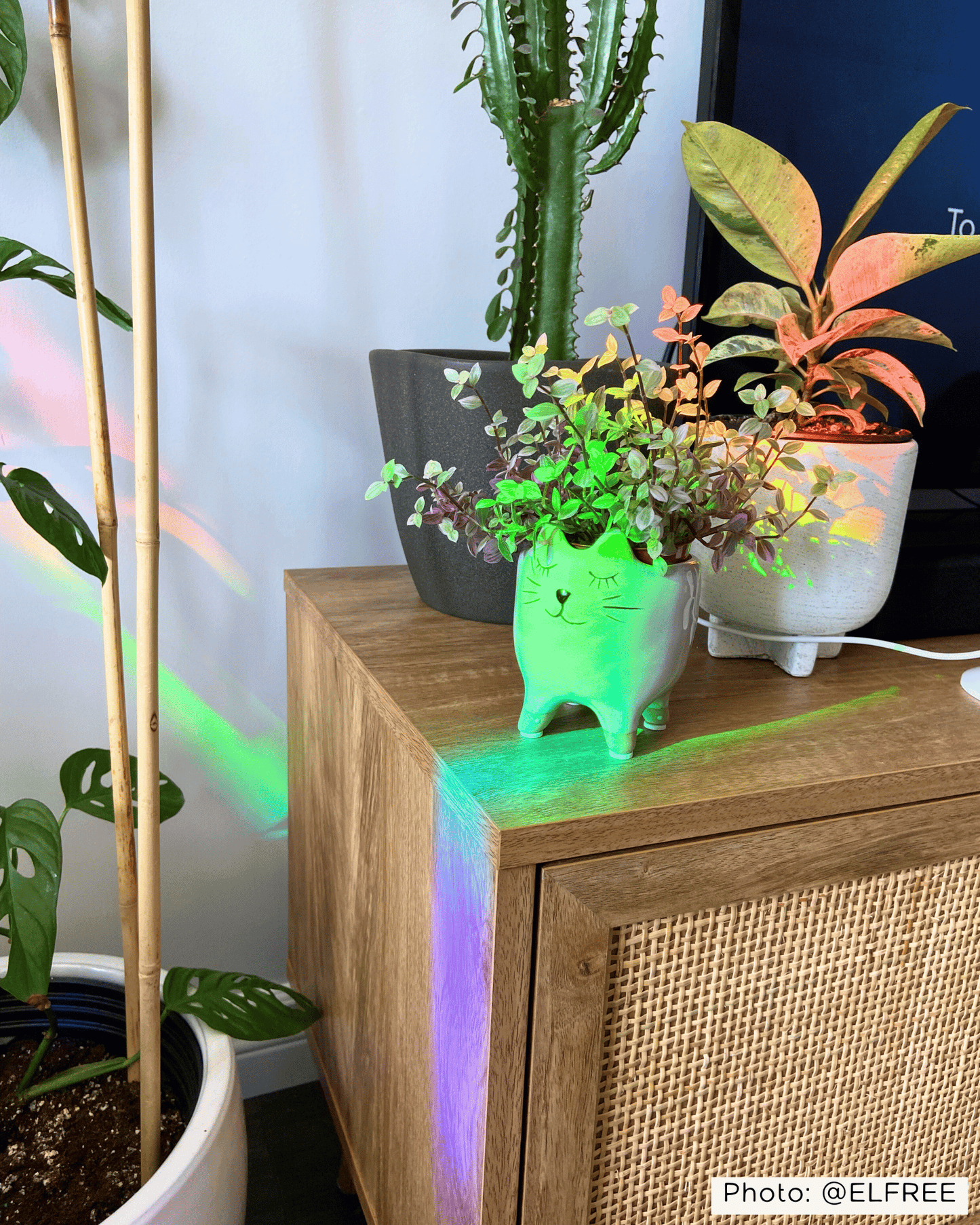 Sunrise Suncatcher Sticker My Sparkling Emporium