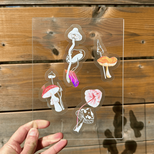Sticker Set: Watercolour Toadstools My Sparkling Emporium