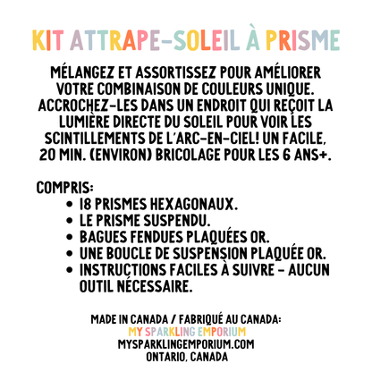 Iridescent Star Prism Suncatcher Kit My Sparkling Emporium