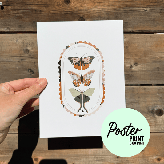 Moths Poster Print My Sparkling Emporium