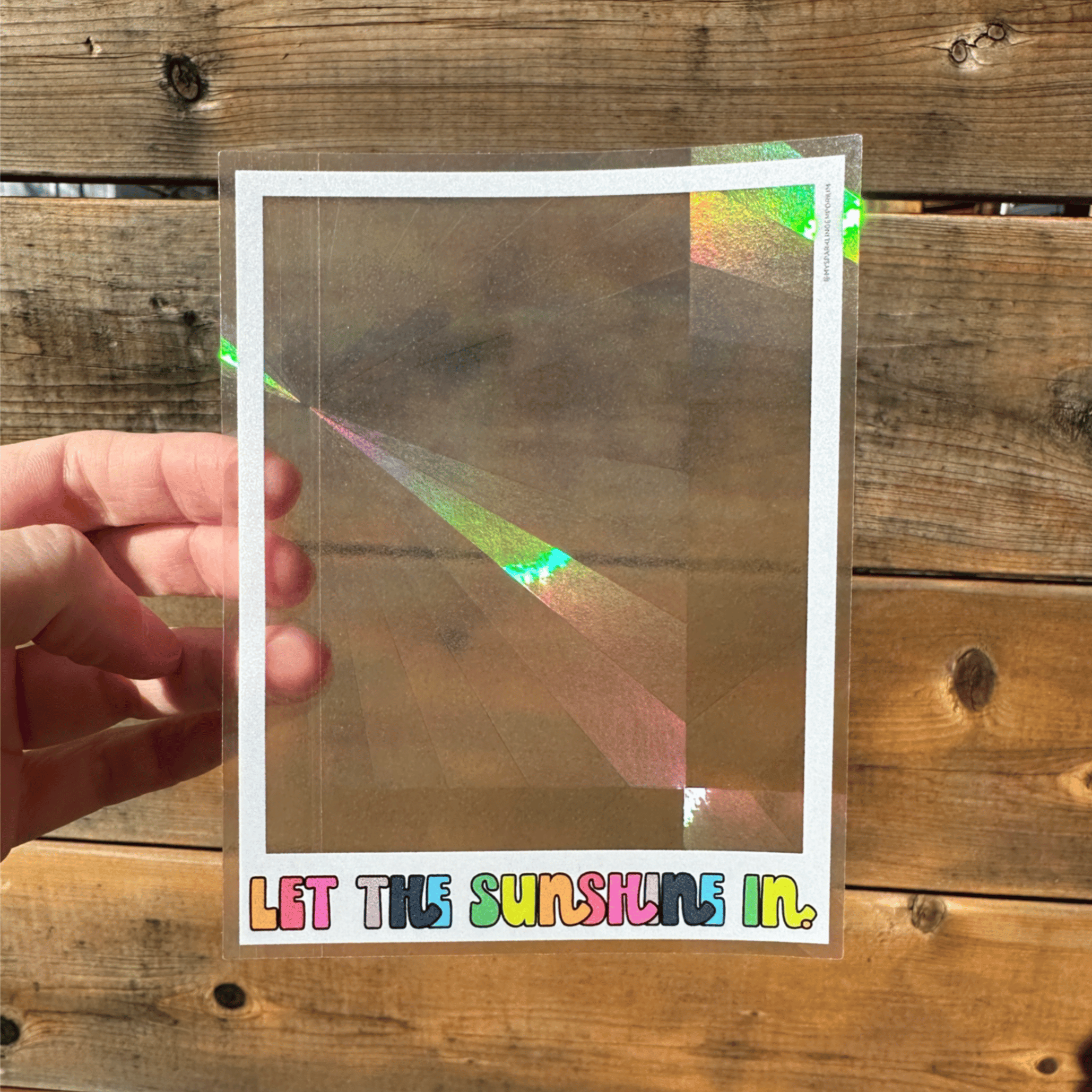 Snapshot Suncatcher Sticker – My Sparkling Emporium